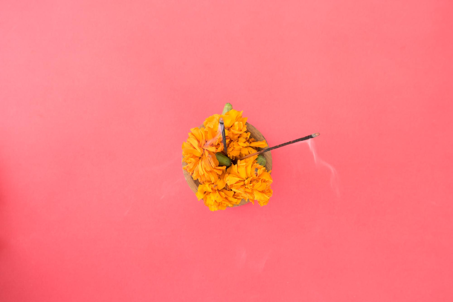 메리골드 차 효능