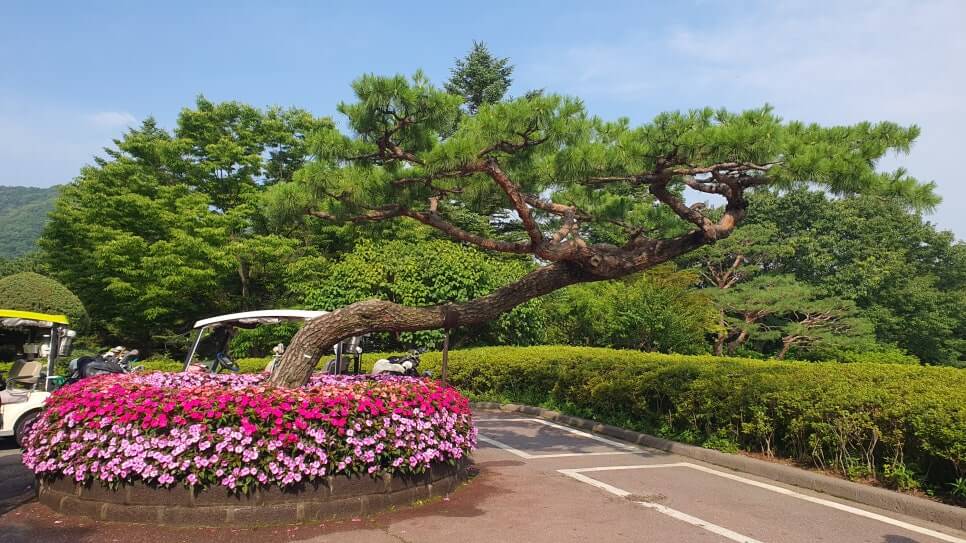 골프장 경험담 광주 더시에나서울cc 오랜 시간 수준 높은 명문의 자리를 지켜온 프레스티지 골프장