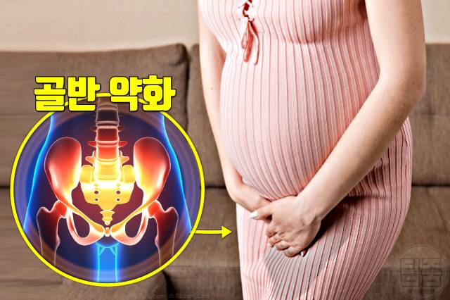 소변이 새요 요실금 원인 임신 출산 골반