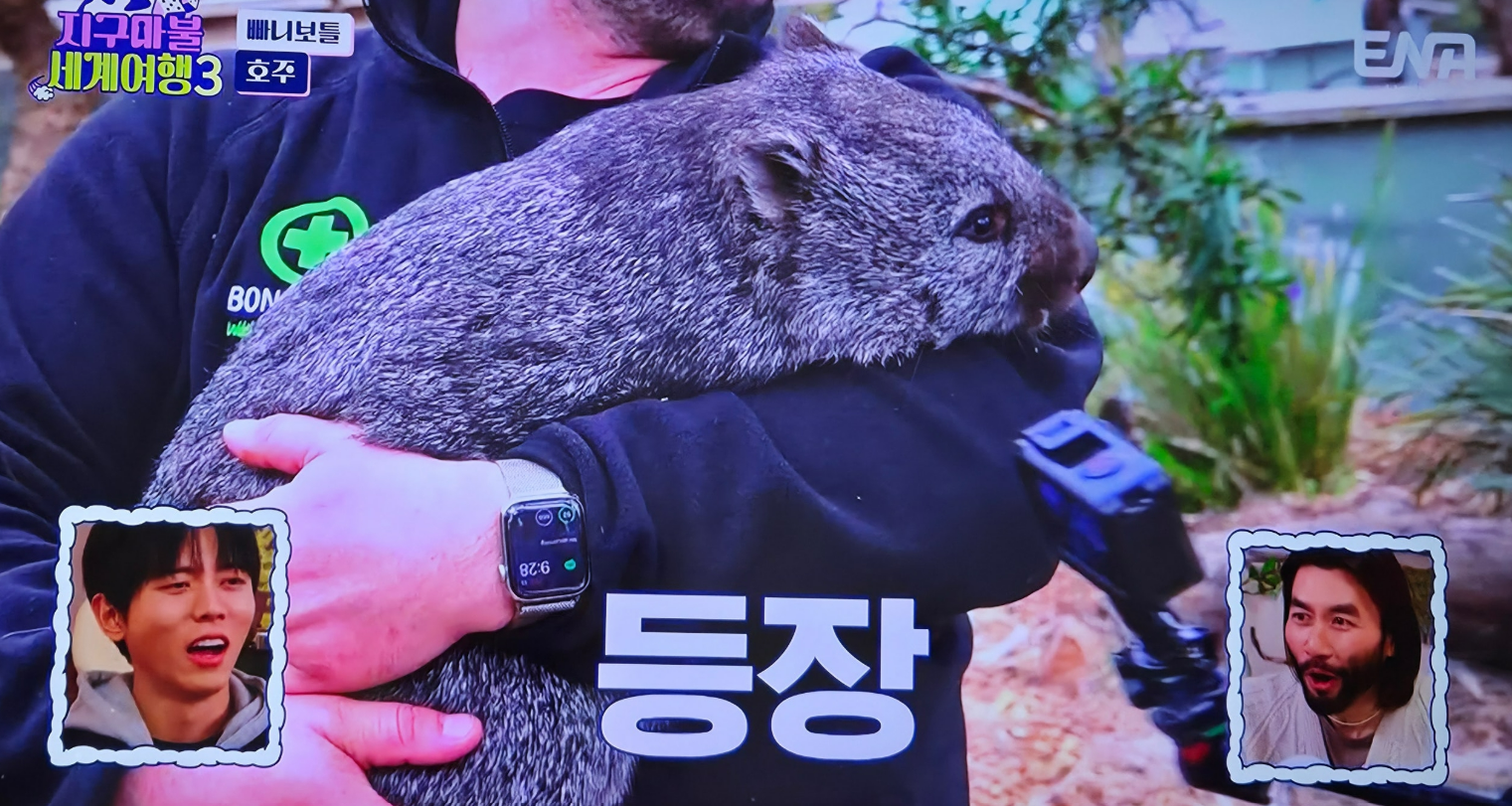 지구마불세계여행3 빠니보틀 - 호주편