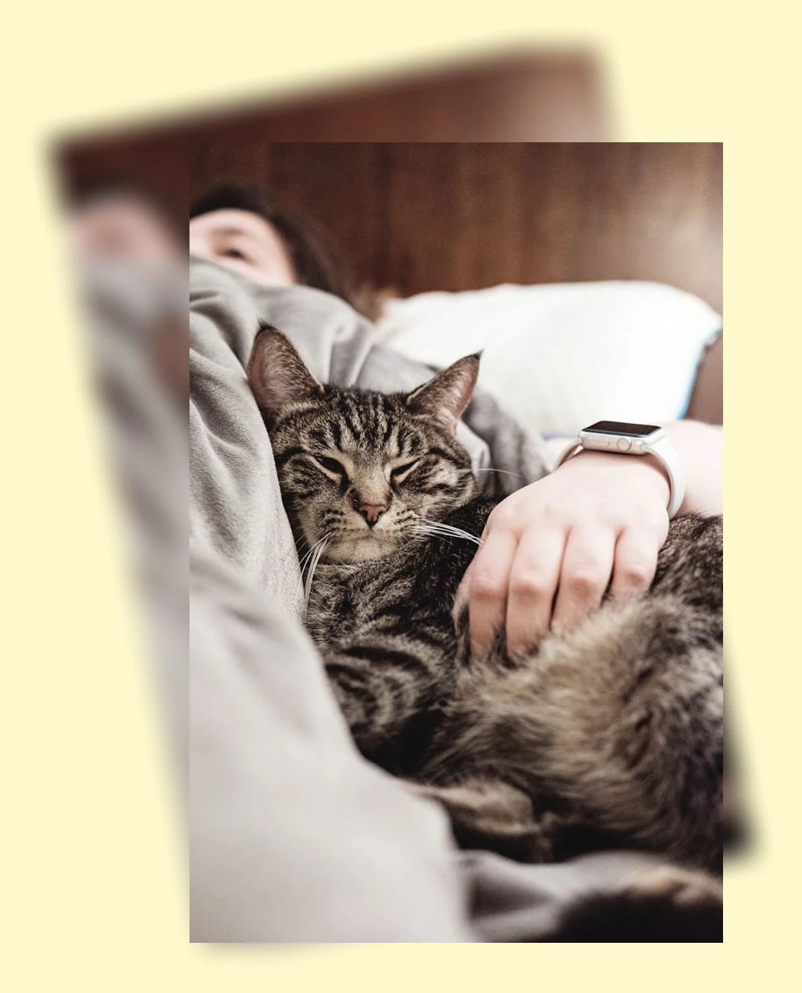 소형 캣타워_1_subsection