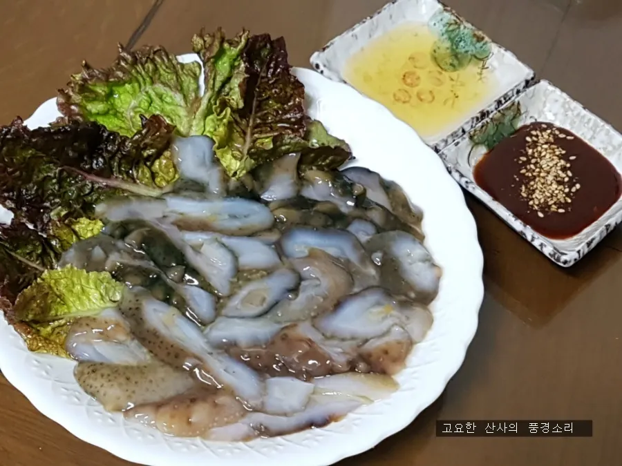 해삼 손질법 해삼보관법 제철 탕 레시피_2