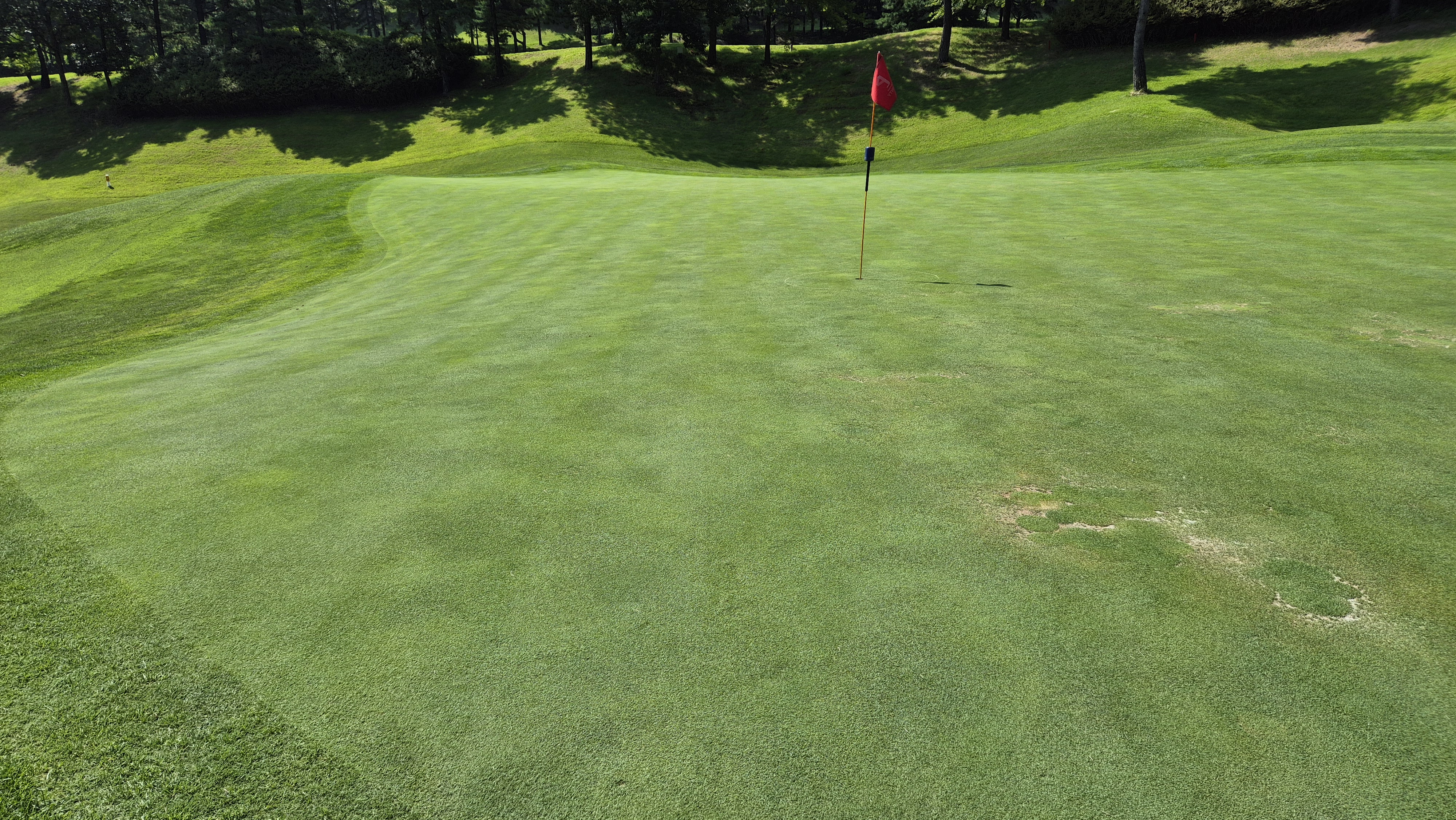 골프존카운티 천안 라운드 후기