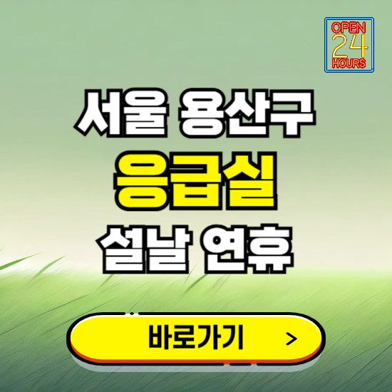 서울 용산구 설날 연휴 비상진료 응급실 병원 찾기 ❘ 내근처 24시 야간 심야 휴일 가능한 곳