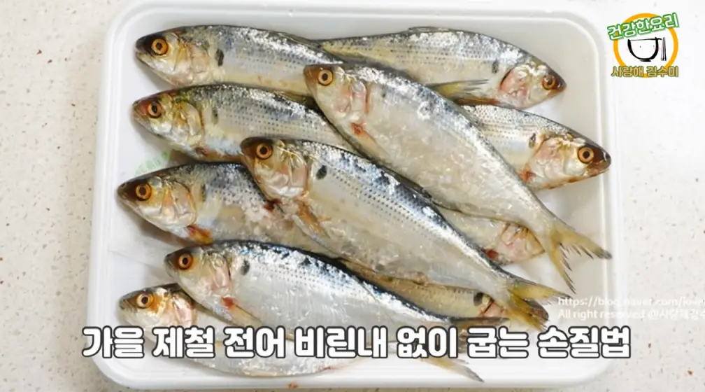 전어구이가을전어가격효능