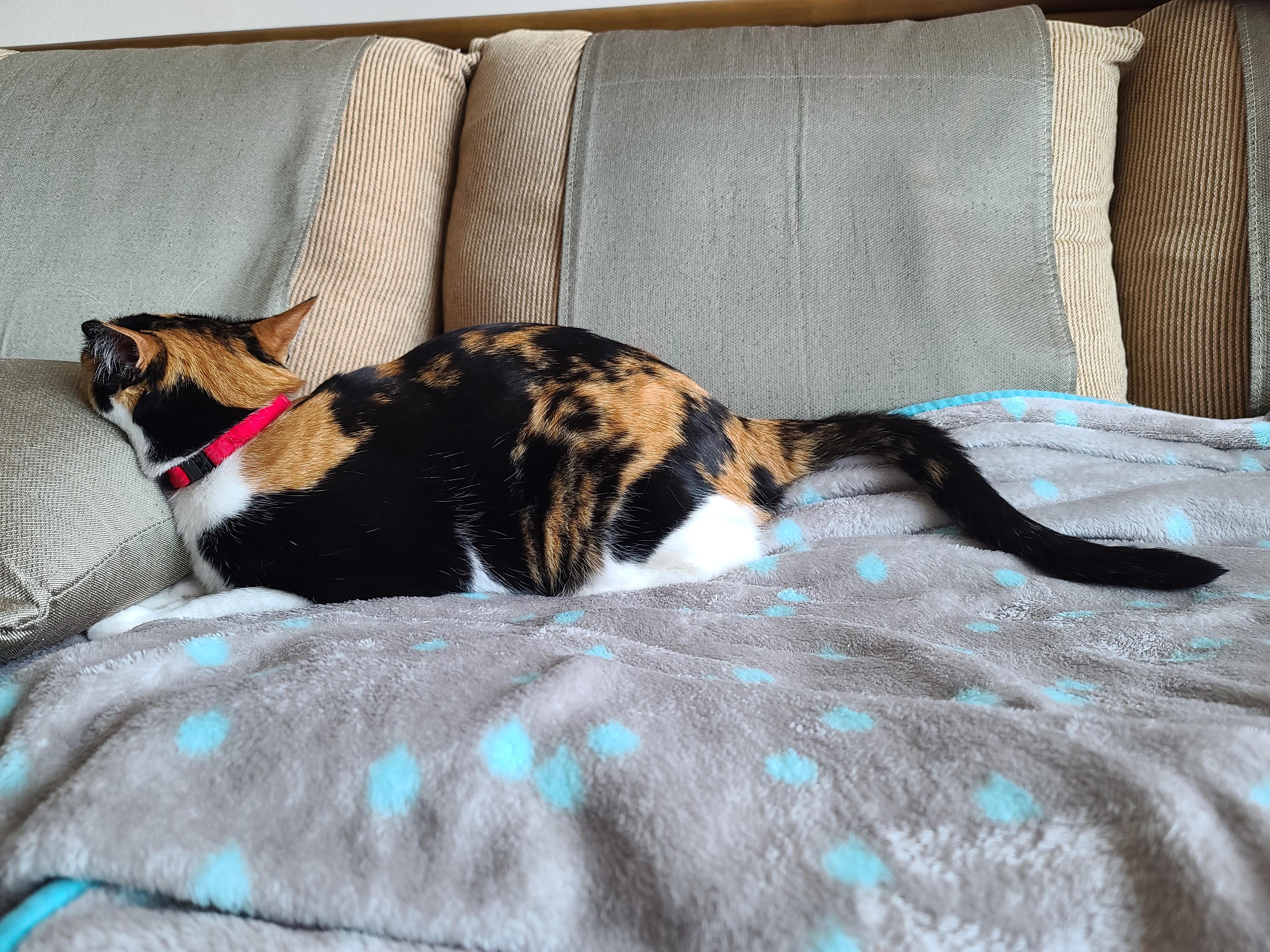 까칠함 뒤의 다양한 다다 모습들.