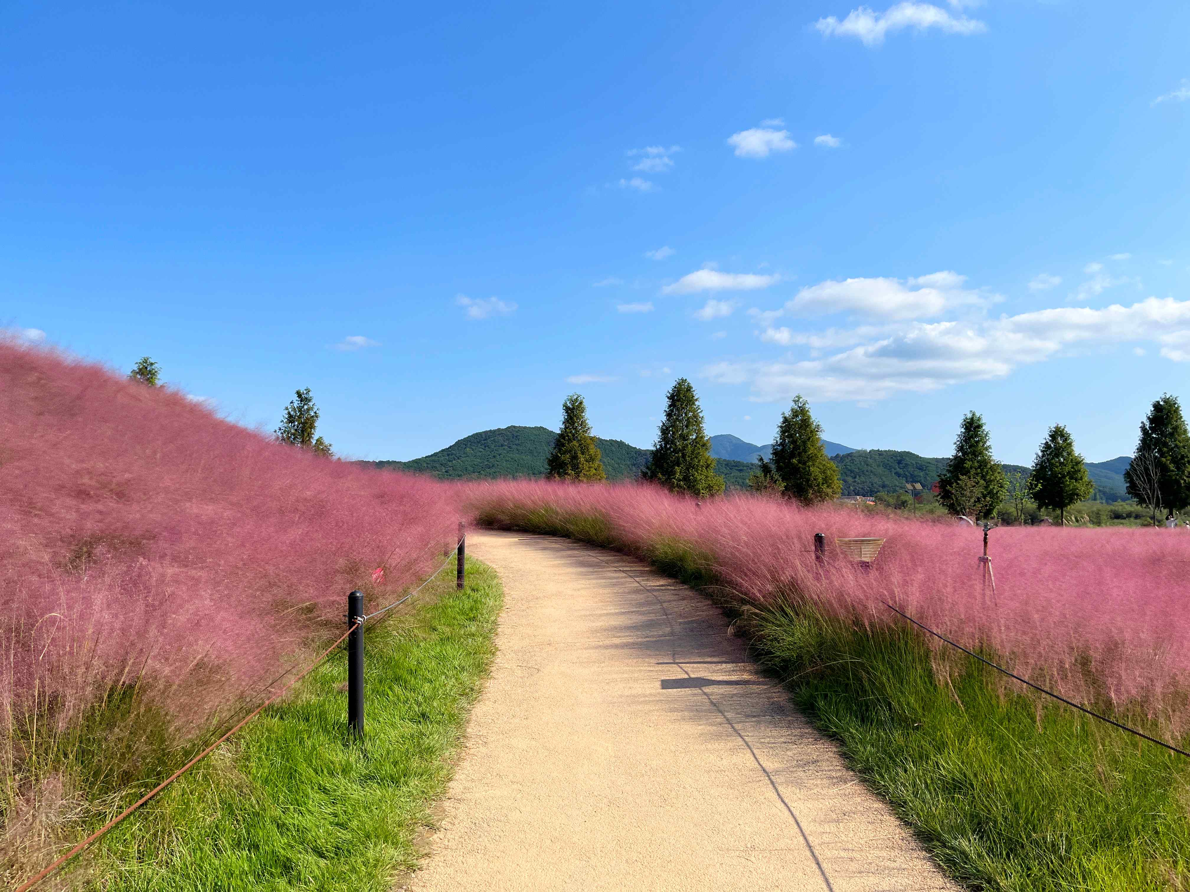 신소양체육공원