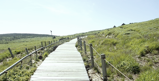 한라산 근처명소분석관련사진