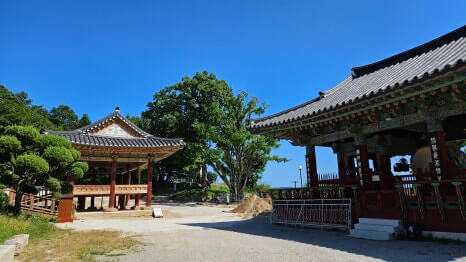 여주 신륵사 : 남한강을 품은 천년고찰 역사·문화·자연이 공존하는 강변 사찰