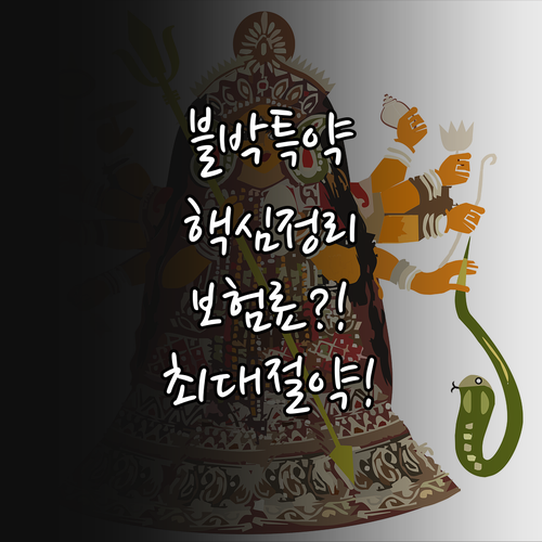 블랙박스 특약으로 DB손해보험 자동차..