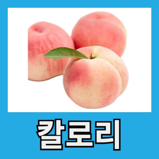 복숭아 칼로리