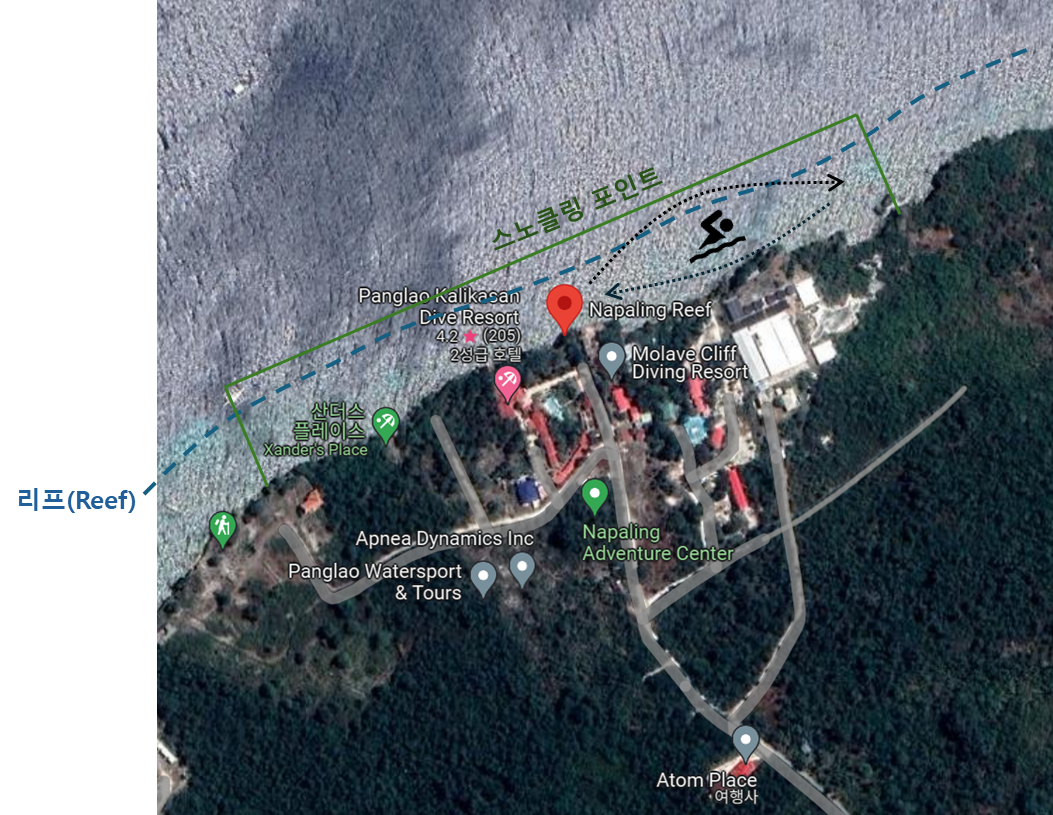 나팔링 리프 스노클링 영역