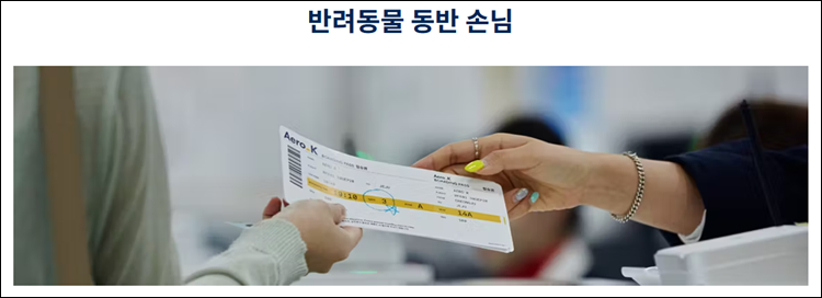 에어로케이-반려동물