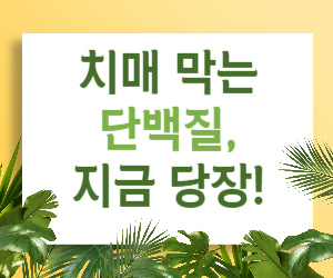 단백질 치매 예방, 지금 바로 시작해야 하는 이유!