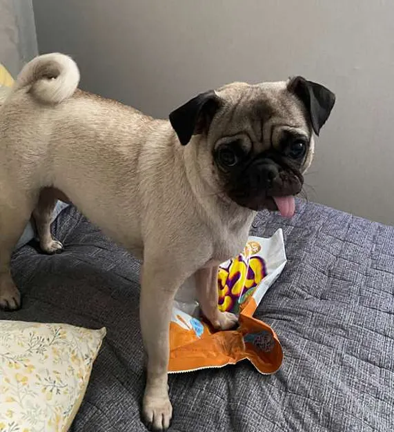 수정강변타운아파트테니스장