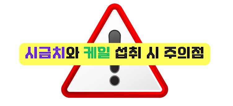 시금치와 케일 섭취 시 주의점