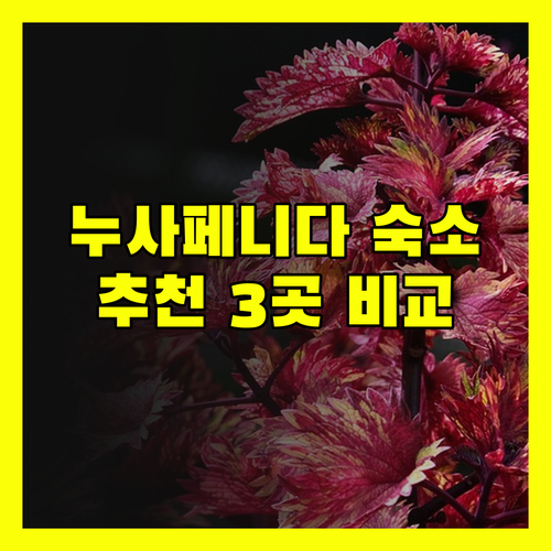 발리 누사 페니다 숙소 고민 끝! 3