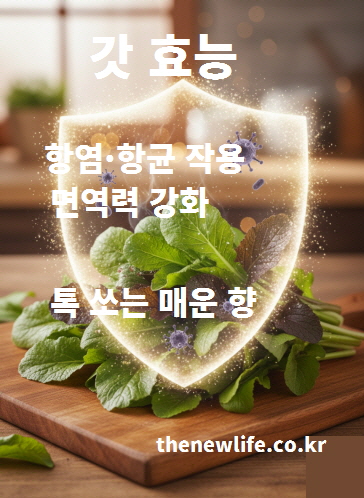 갓 효능 - 톡 쏘는 매운 향 성분이 항염·항균 작용을 통해 면역력을 강화하는 이미지