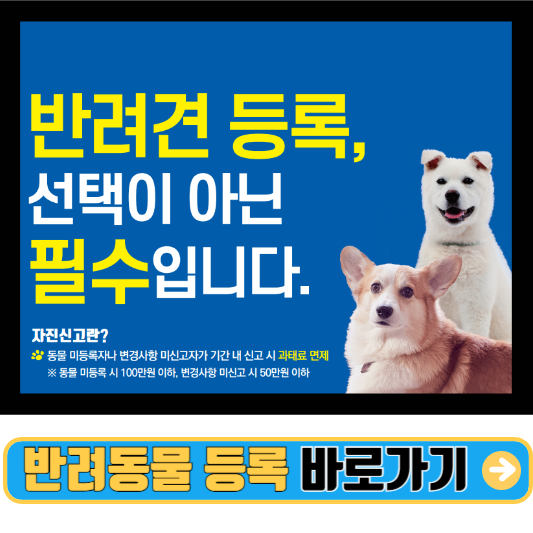 반려동물 등록 비용과 방법 총정리