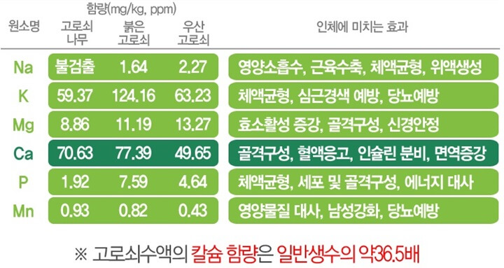 고로쇠물-효능