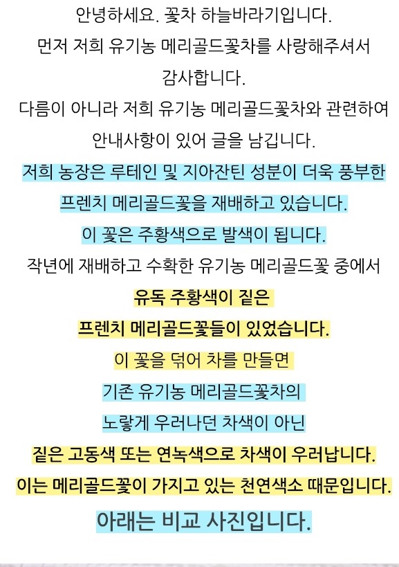 생생정보-창원-꽃차-하늘바라기