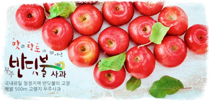 전북 무주 사과 천마 전화 택배 파는 곳 추천