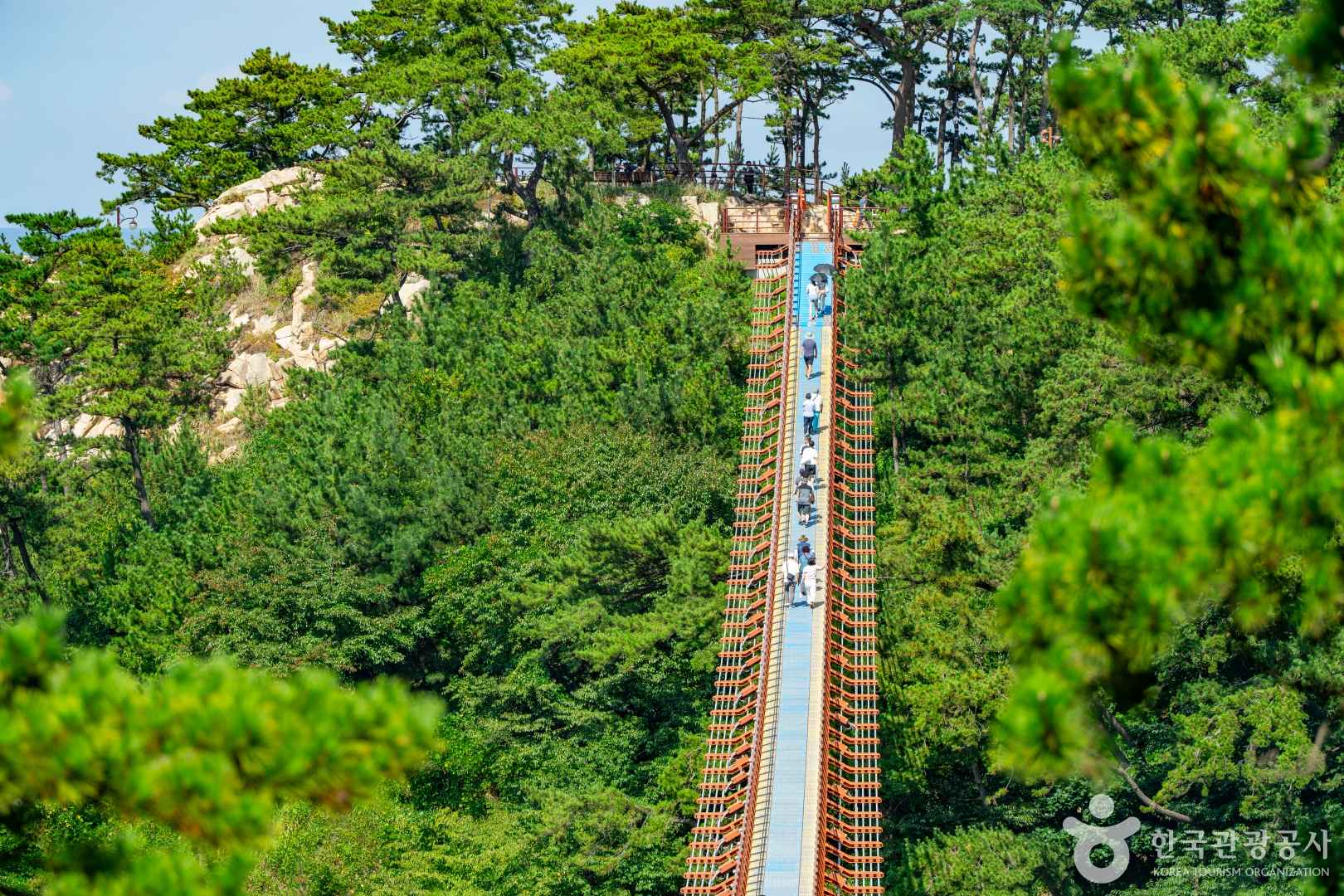 울산 대왕암공원 출렁다리