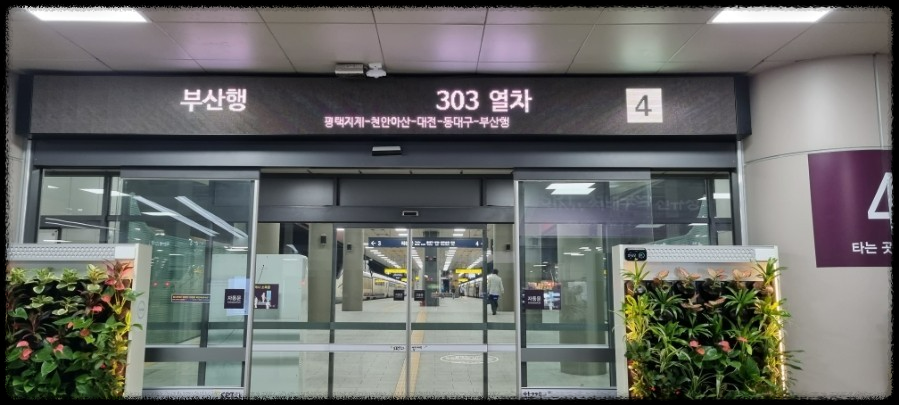 부산 가는 SRT 고객감사제 알뜰열차 비교해봤더니…