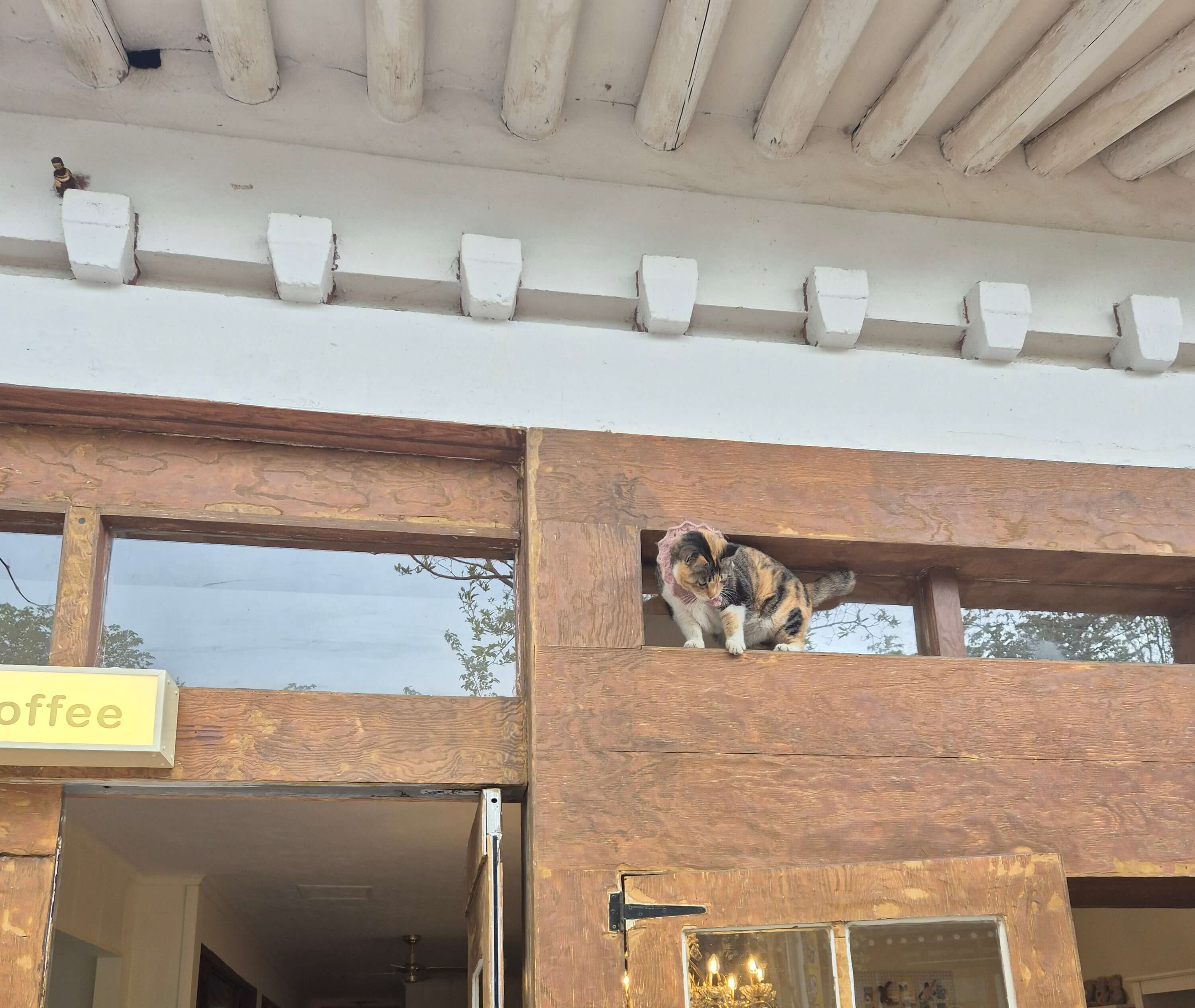 경주 여행, 황리단길, 야경 명소, 버스이동방법