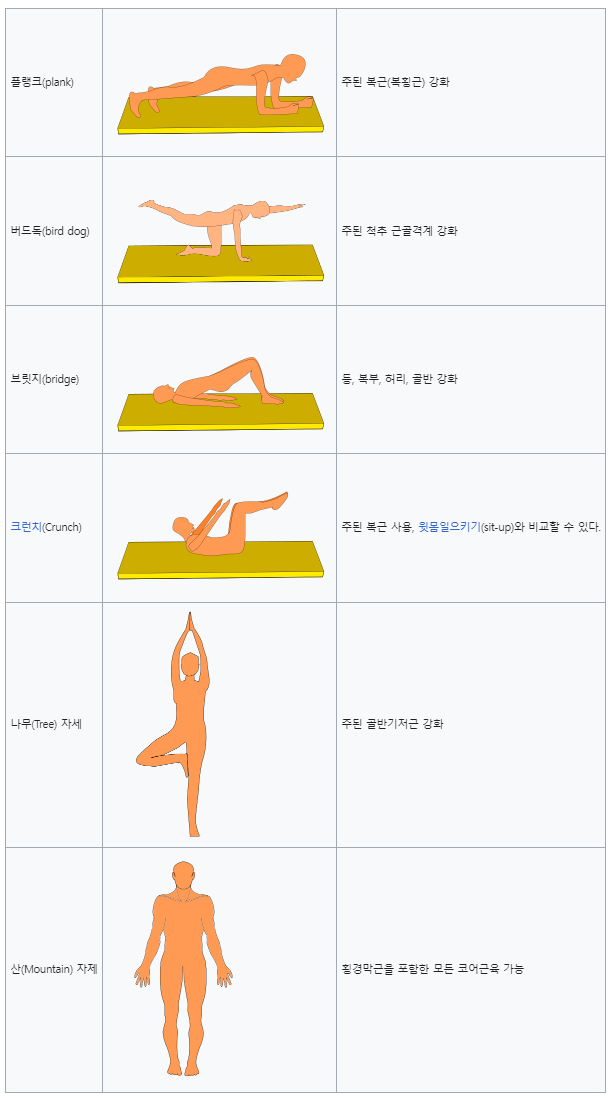 코어운동 방법6종류