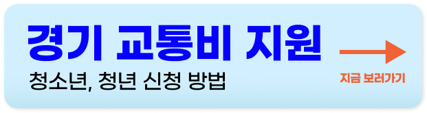 서울 청년 대중교통비