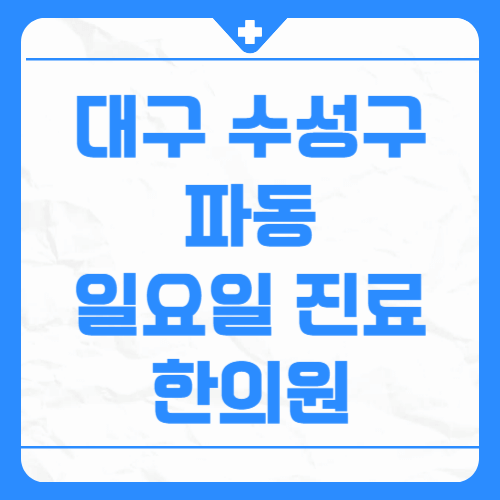 대구 수성구 파동 일요일 진료 한의원