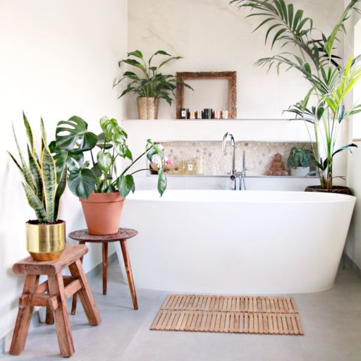 욕실을 숲처럼: 습도 좋아하는 식물로 꾸미는 반신욕 공간 인테리어