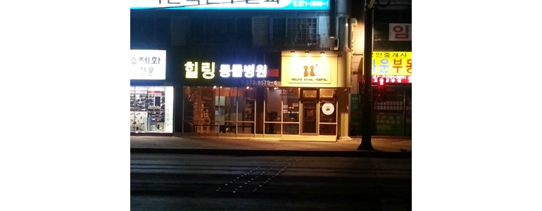 전주 덕진구 동물병원