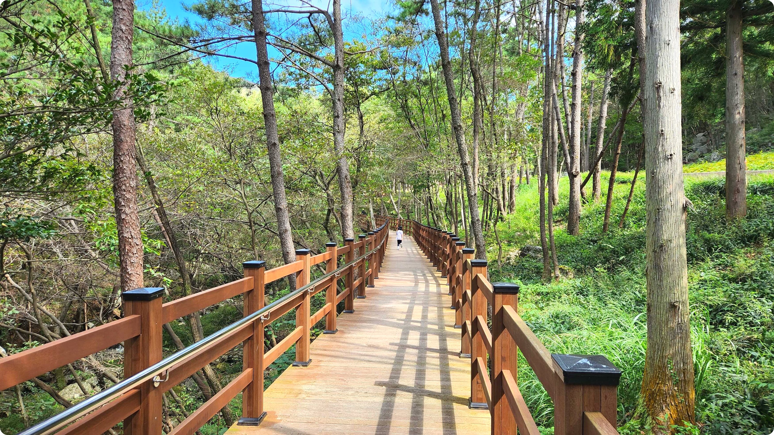 거제도-숲소리-공원-무장애나눔길