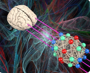 뇌의 무게는 가볍지만 내부에서 네트워크처럼 연결된 구조