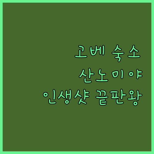 고베 여행 숙소 추천 위치 좋은 산노..
