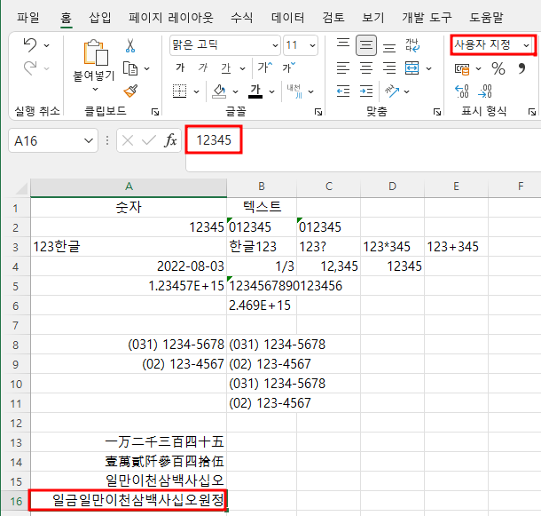 숫자(한글) 표시 형식에 일금과 원정이 추가된 표시