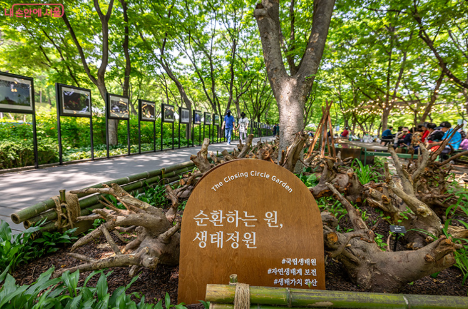 동행정원