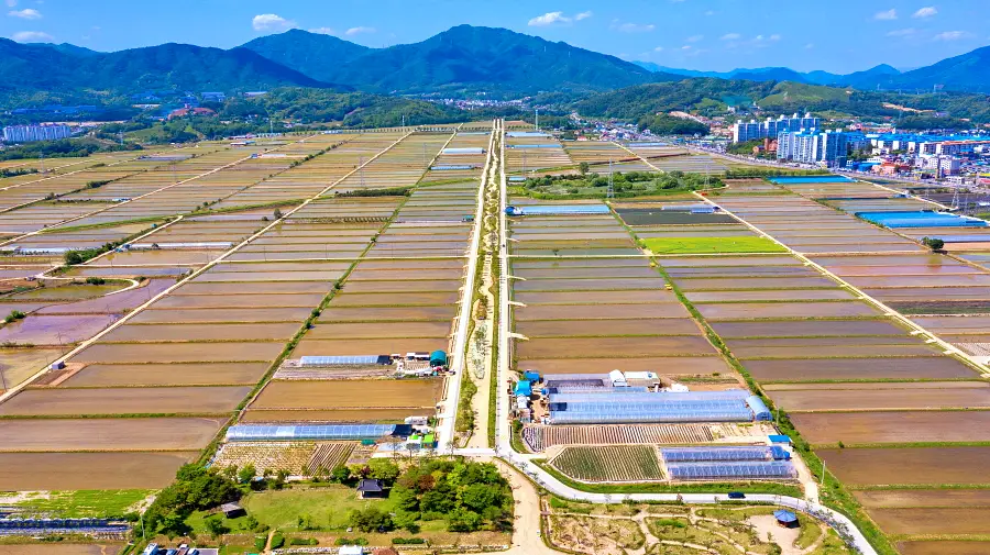 충북 제천 비행장, 삼한의 초록길, 에코브릿지 전망대, 의림지, 예빛마을, 맛집 식당 가볼만한 곳 추천