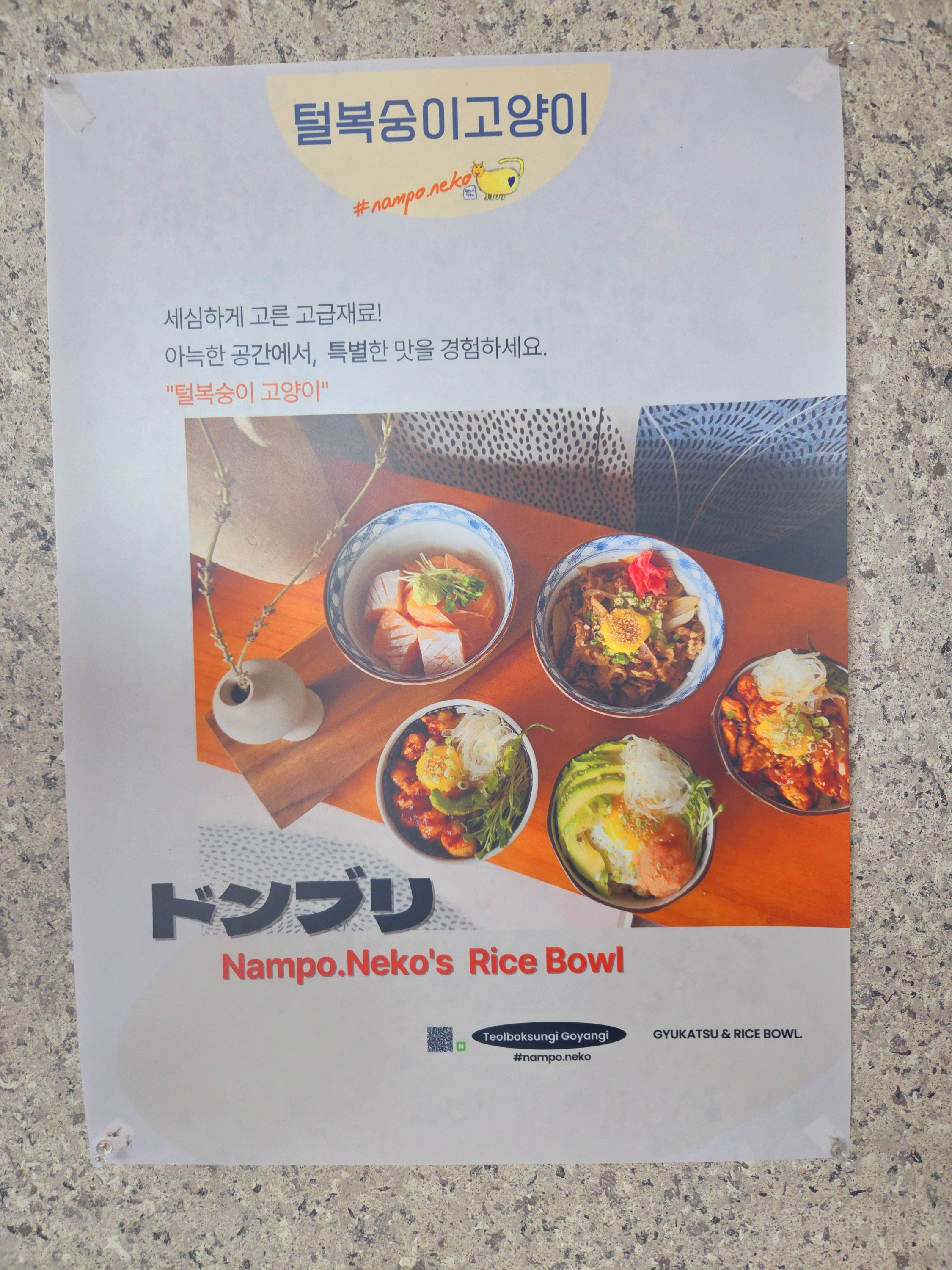 털복숭이고양이