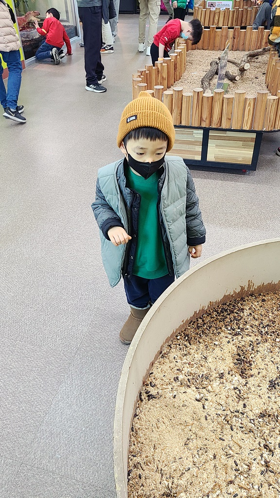 여주곤충박물관