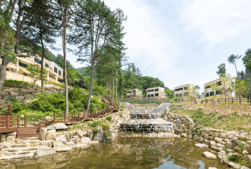 개울가-펜션4채-나무