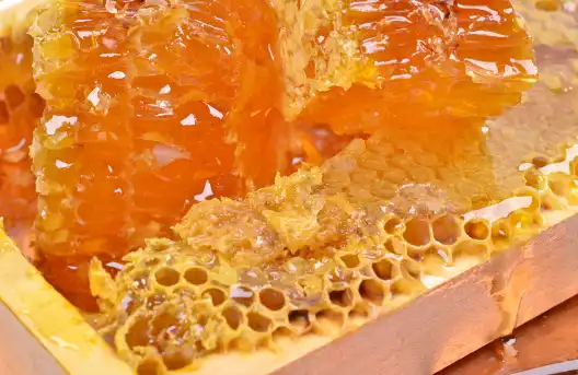 프로폴리스 효능효과 영양성분과 부작용