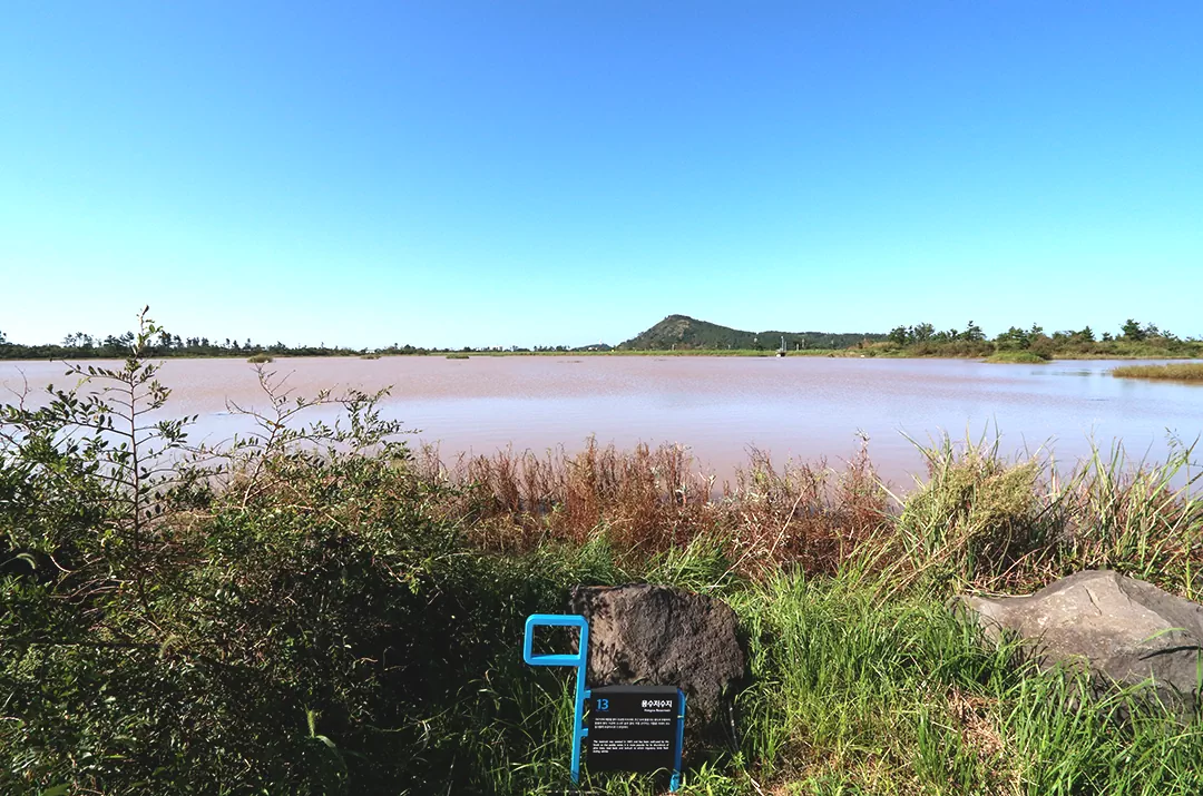 제주 올레길 13코스 용수-저지 올레 완주 가이드: 거리 소요시간 코스별 특징 정리