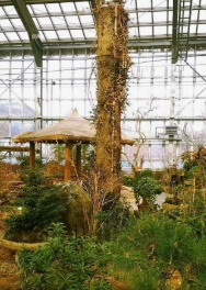 우리꽃식물원 6일간 무료 개방