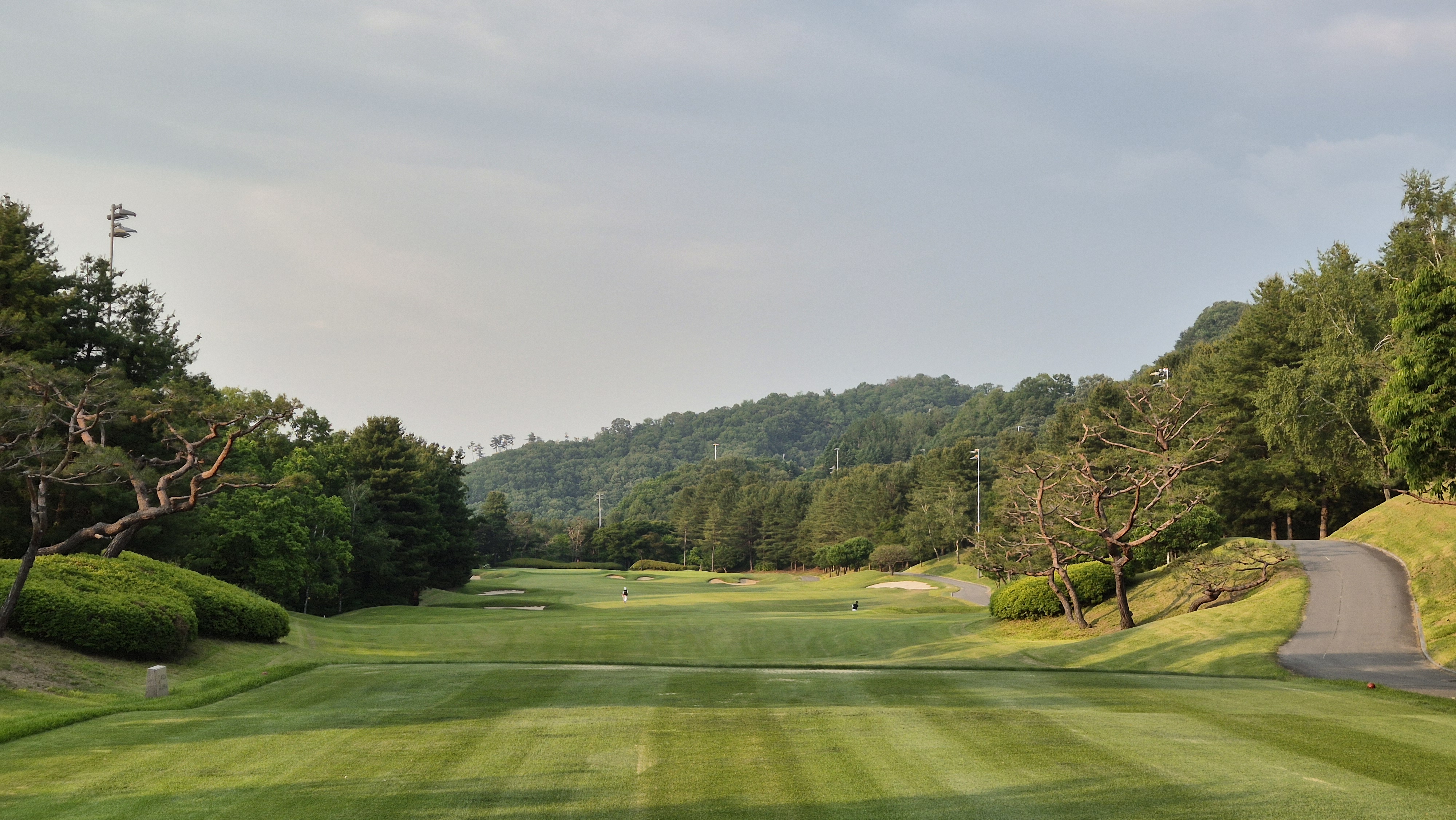 이포cc 라운드 후기