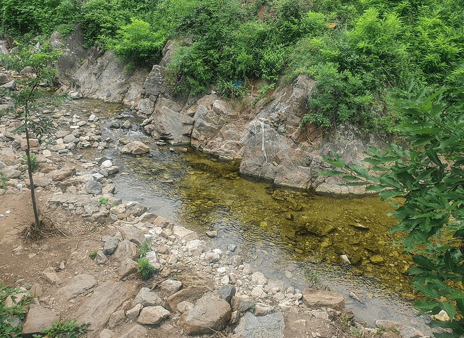 용인 고기리계곡