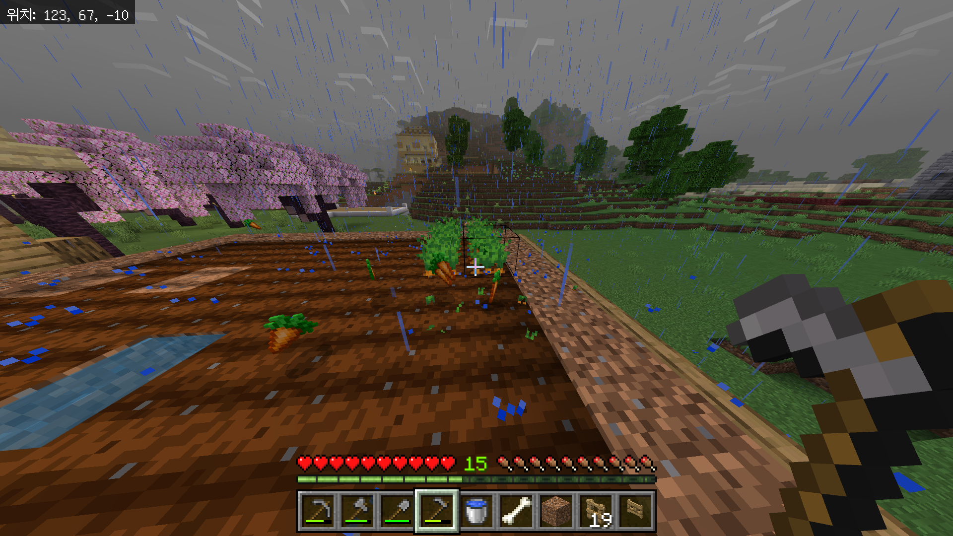 마인크래프트 당근 심는 방법, 당근 농장 만들기