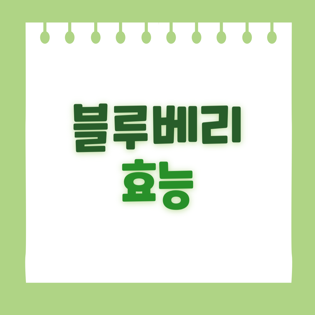 블루베리의 효능